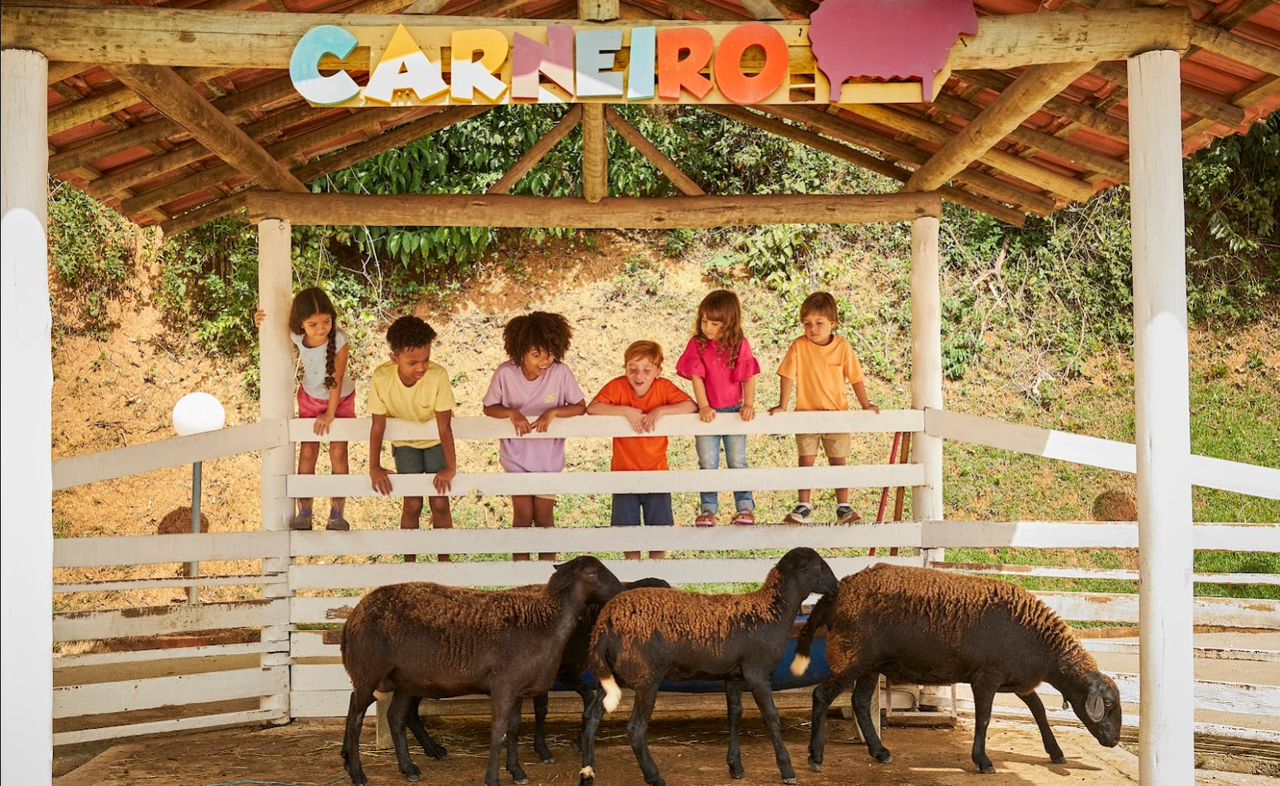 crianças na fazendinha do tauá caeté